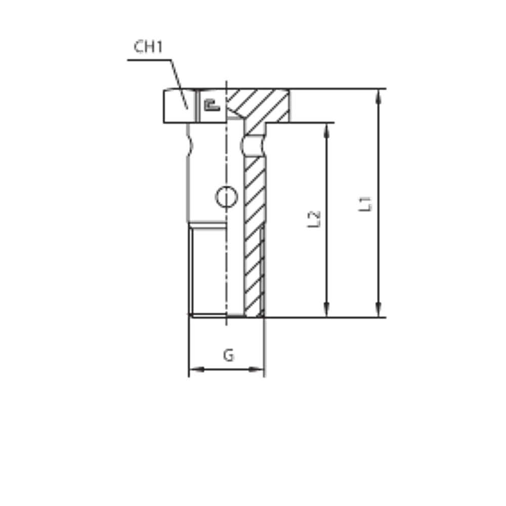 Фитинг BANJO BOLT G3/4 CAST