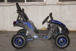 Багги Green Camel Намиб T008 (48V 1200W R6 Дифф) аморт