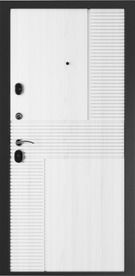 Дверь входная Токио