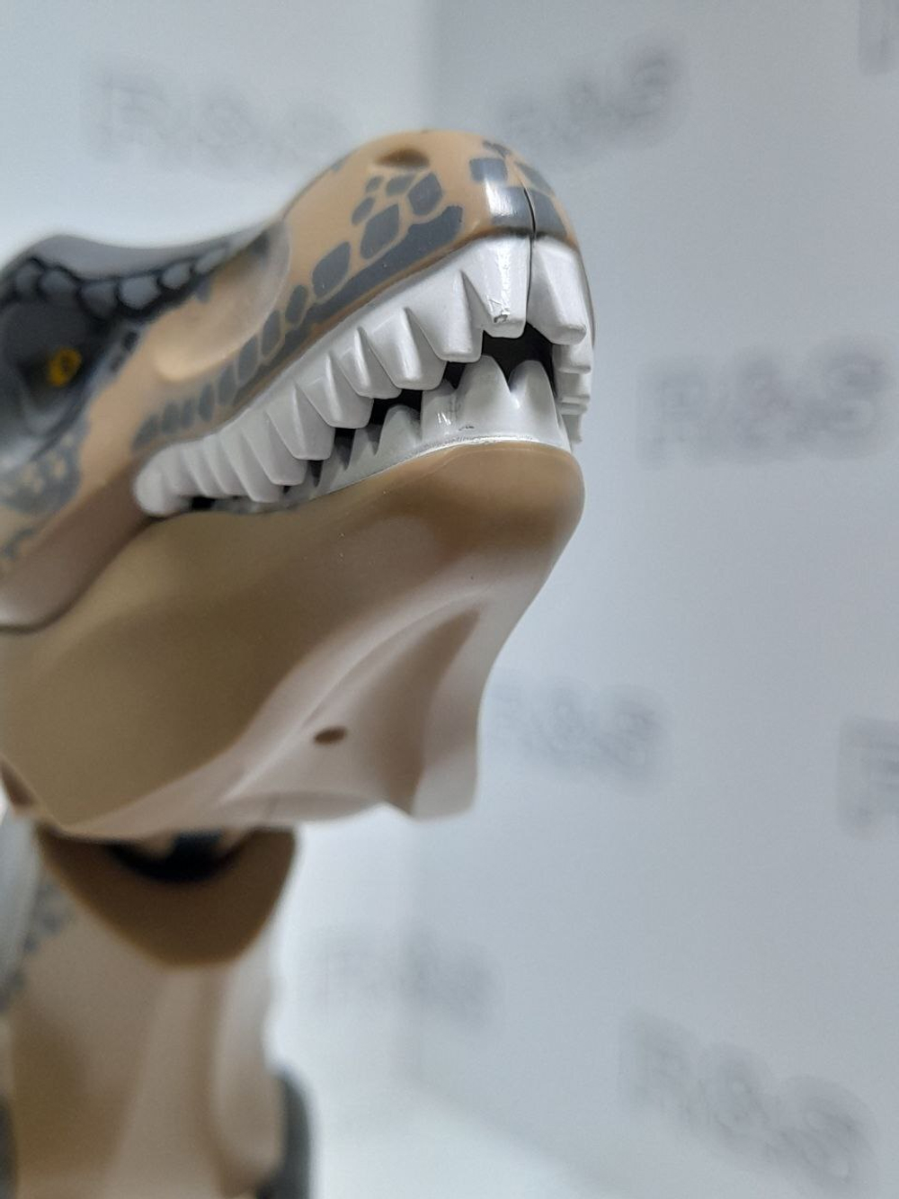 USED Тираннозавр trex08