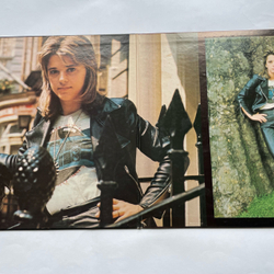 Винтажная виниловая пластинка LP Suzi Quatro Savage Silk (Япония 1974) (Без Оби)