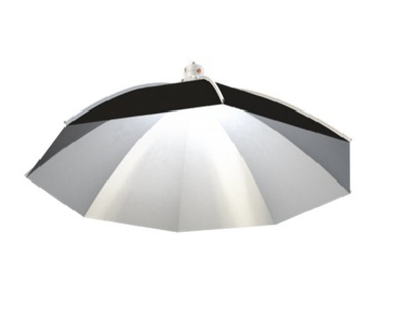 Светильник Daisy 100