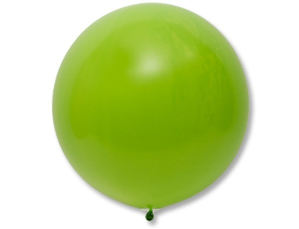Э 24"/60 см, Фэшн, Киви (Kiwi 280), 1 шт.