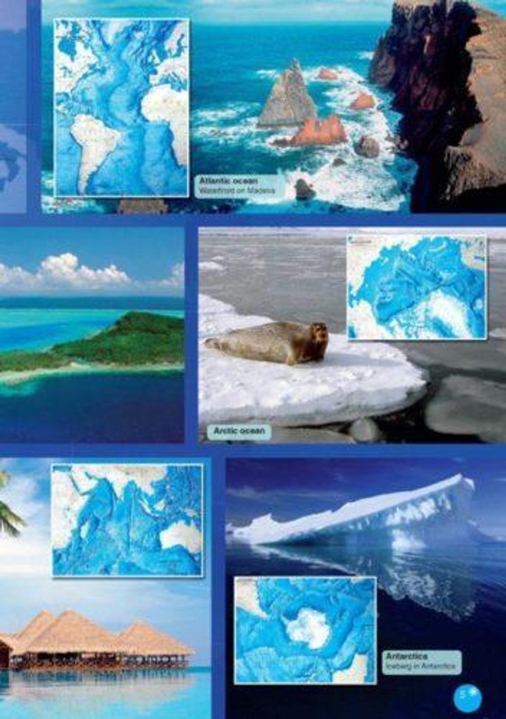 The Bottlenose Dolphin. А1/А2 (5-7 класс) Книга для чтения с доступом к интерактивному приложению