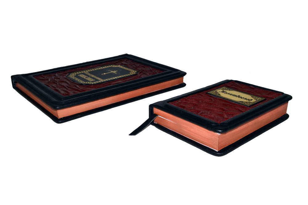 Набор из кожи в кейсе "Иллюстрированная библия+молитвослов"