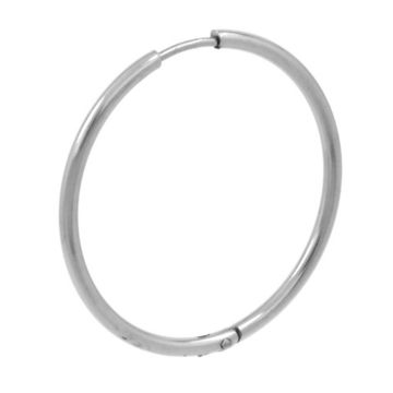 Серьга 2*54 мм (120)