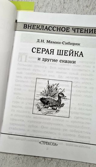 Набор из книг по внеклассному чтению, 3 шт.