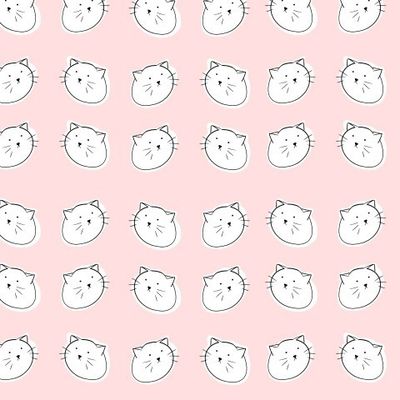 Котик