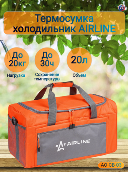Сумка-холодильник (термосумка) 20 л, 43*23*22 см (AO-CB-03)
