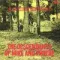 The Descendants Of Mike And Phoebe - A Spirit Speaks - (Pure Pleasure) LP