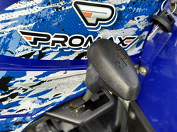 Квадроцикл PROMAX ATV 250 MAX (2025)