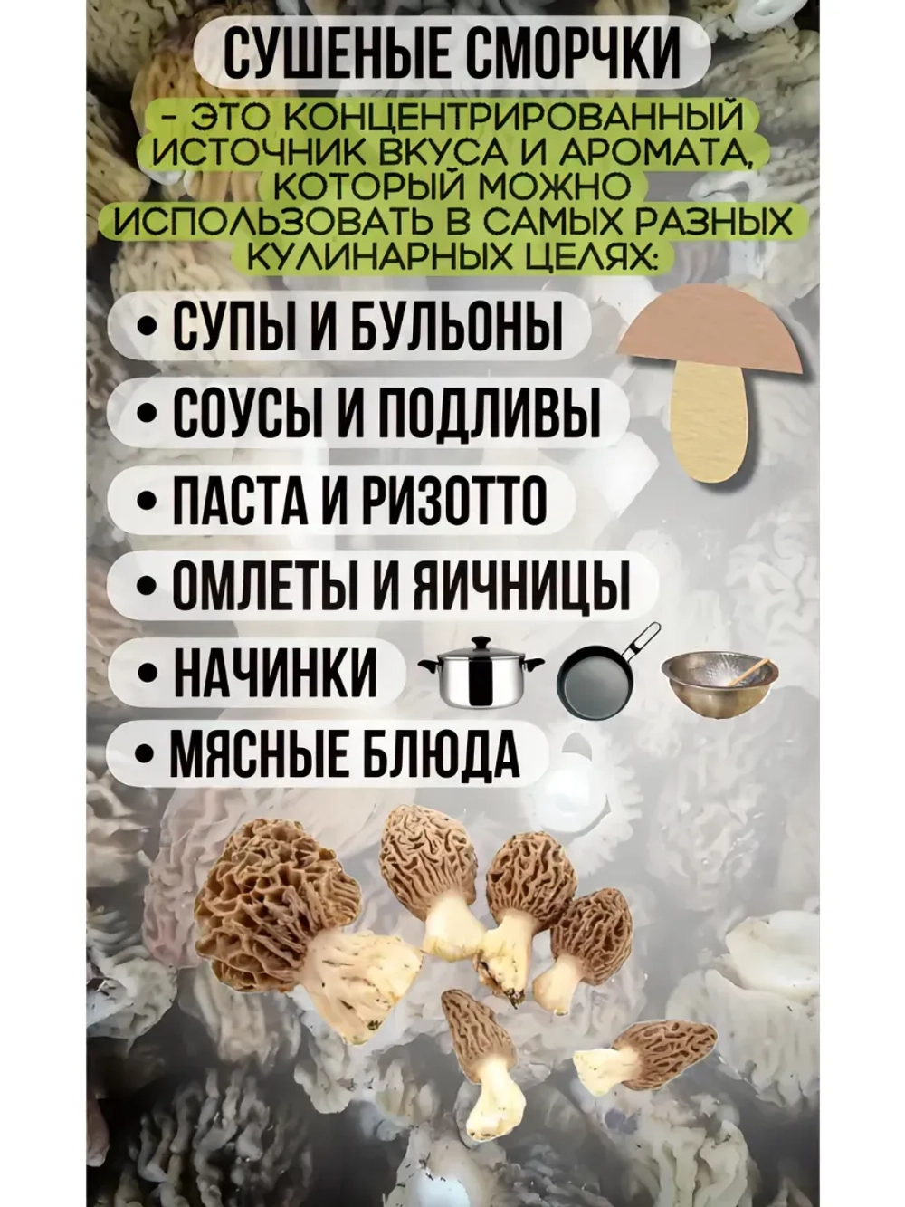 Сморчки