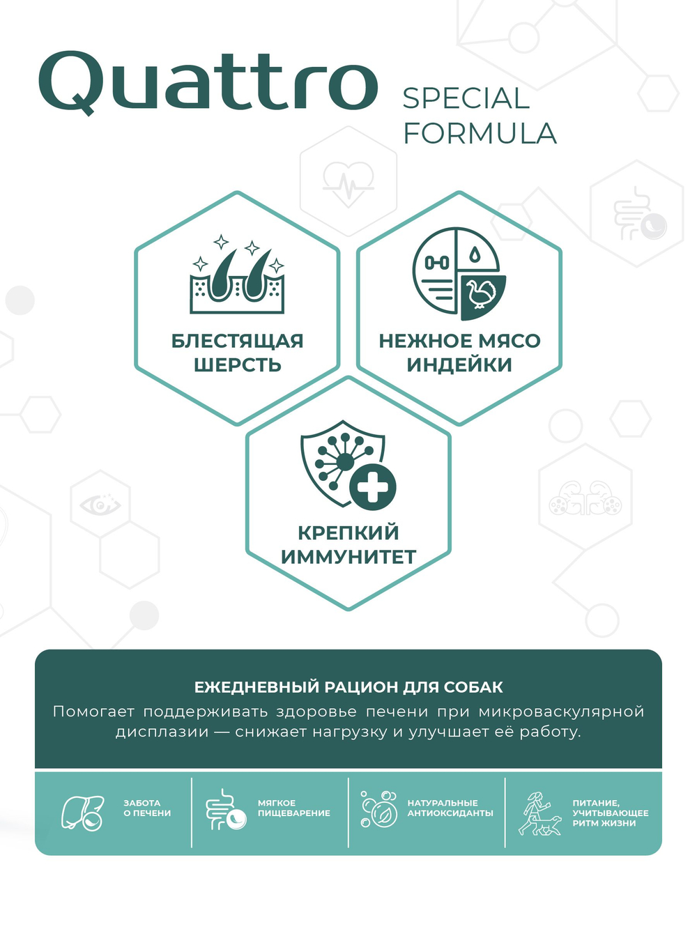 Корм для собак мелких пород SF Hepato Microbalance, (микроваскулярная дисплазия печени), 6 кг, QUATTRO