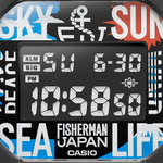 Мужские наручные часы Casio G-Shock DW-5600RF24-1