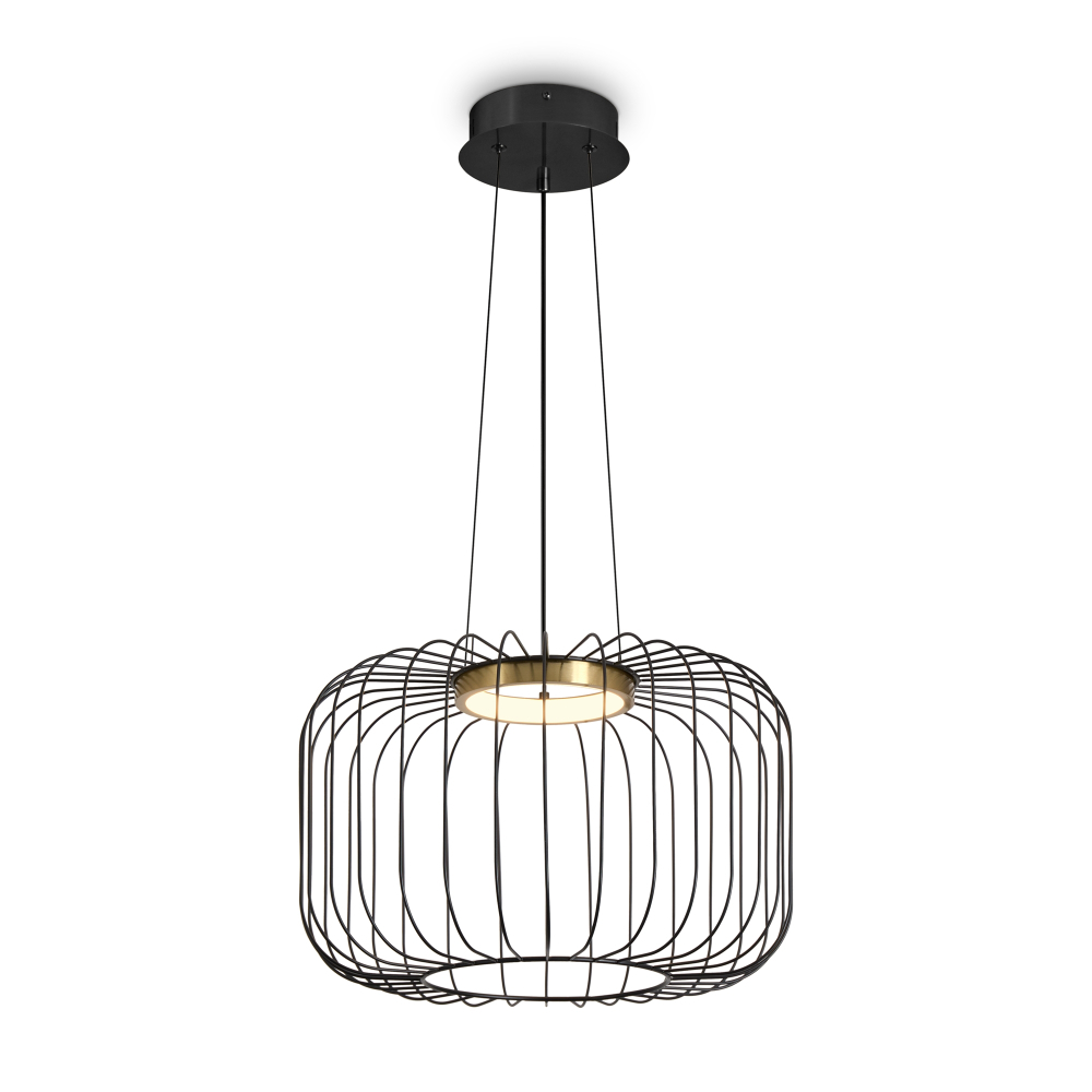 Подвесной светодиодный светильник Freya CITRUS FR5398PL-L8B