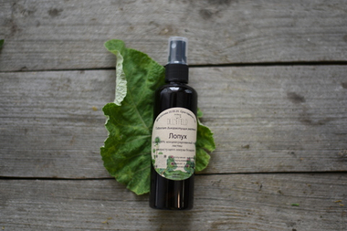 Лопух, гидролат листьев