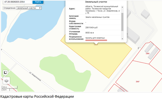 Приют для бездомных собак
