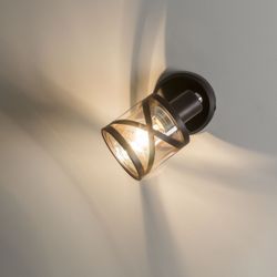 Citilux Гессен CL536615 Спот поворотный с выключателем Венге