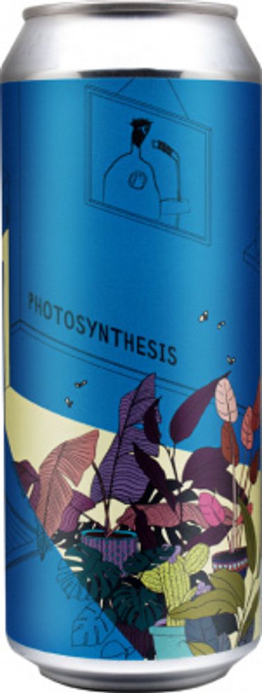 Пиво Штамм Бир Фотосинтезис / Stamm Beer Photosynthesis 0.5л - 6шт