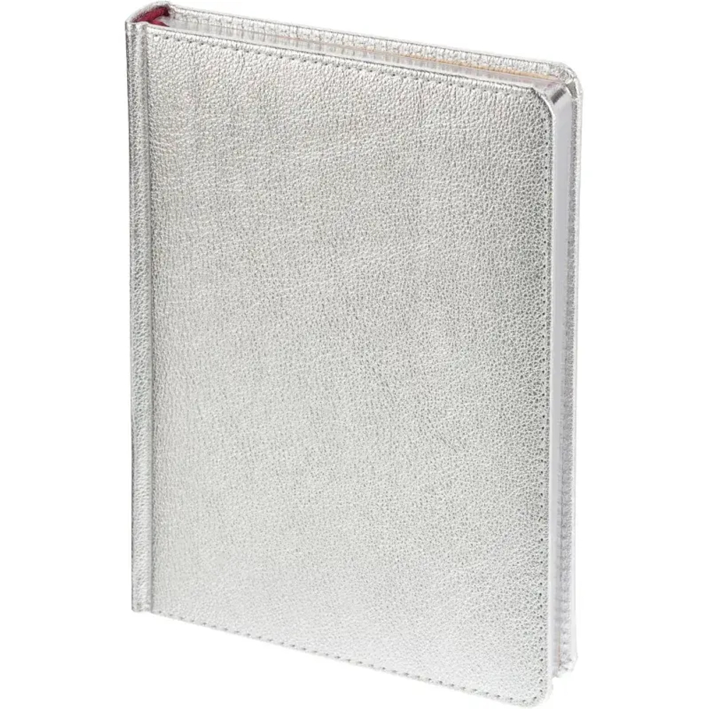 Ежедневник недатированный Sidney Nebraska, А5, 136л, серебро 3-128/10