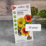 ГАЙЛАРДИЯ Монтана Удачные семена Гавриш Ц (10шт)