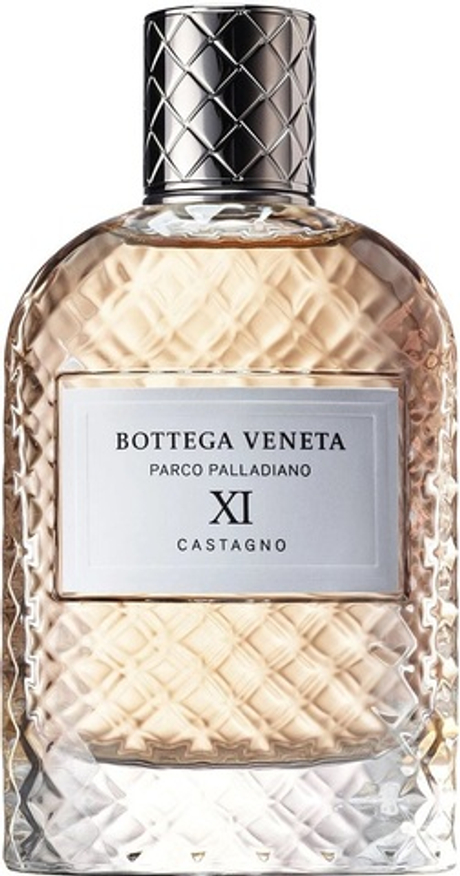 Bottega Veneta Parco Palladiano XI