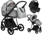 Детская коляска Roan Sol Flowers 3 в 1 с автокреслом Pituso Baesa Pro Black RSF/5002 Gray/Black