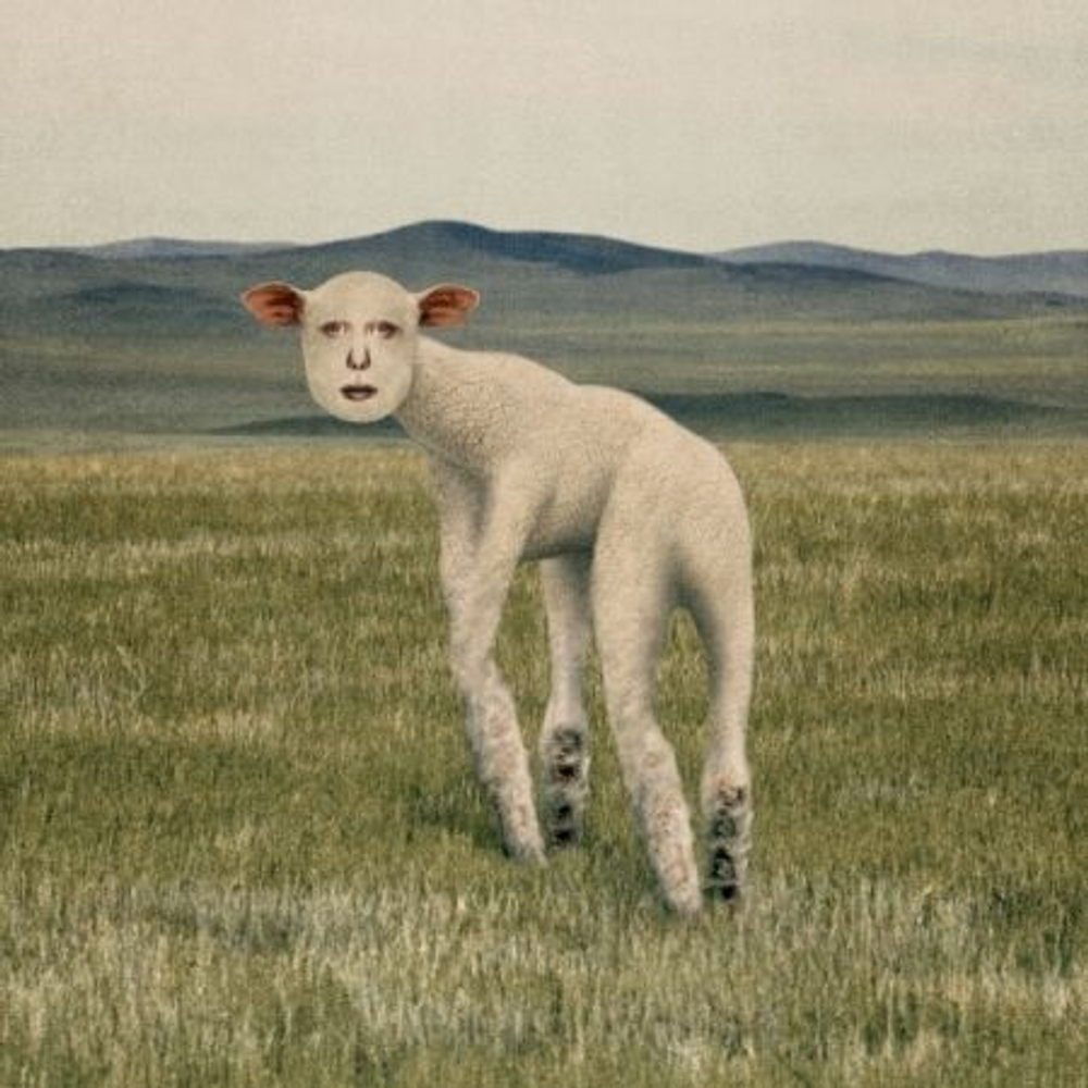Альбом THORNAPPLE - ANIMAL EP Album
