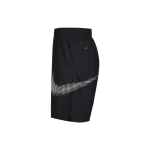 Шорты Nike DRI-FIT Logo, DX6306-010