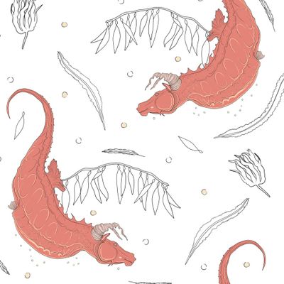 Seahorses