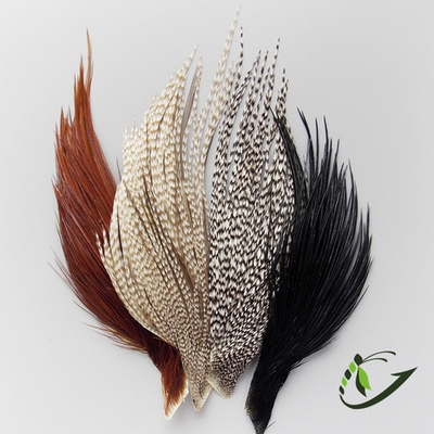Срез скальпа петуха Whiting (мелкие перья)