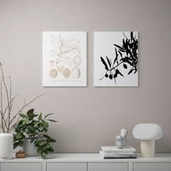 IKEA PJÄTTERYD  (ИКЕА ПЙÄТТЕРЙД)  -  Изображение, из ветвей, 40x50 см