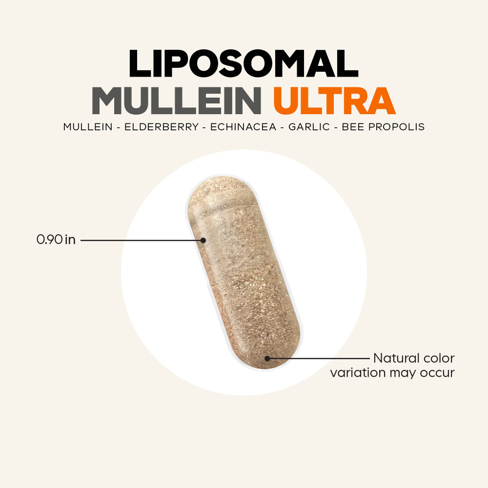 Codeage, Liposomal Mullein Ultra, липосомальный коровяк, 90 растительных капсул