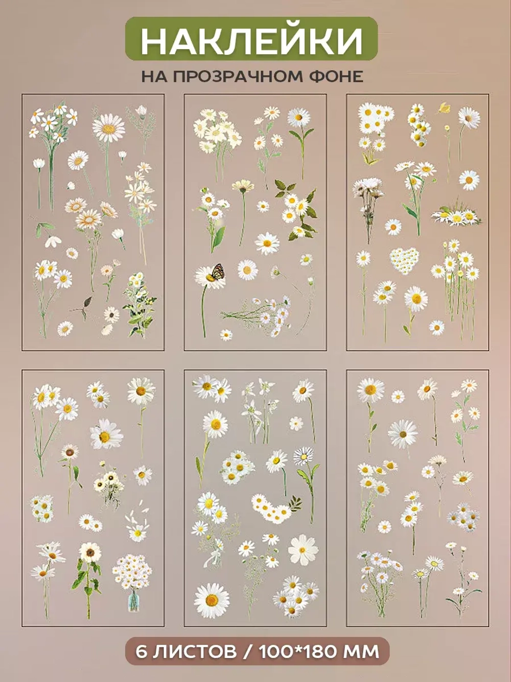 Наклейки флора на прозрачном фоне Ромашки белые