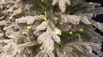 Заснеженная ель с гирляндой «Россо» теплый свет (Литая+пвх) от 1.2 до 2.4 м