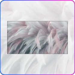 Фотообои Luxury Walls AM00605 "Перья" 500х270