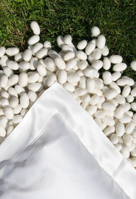 Наволочка 50х80 Silkow Venezia белая skv-l22