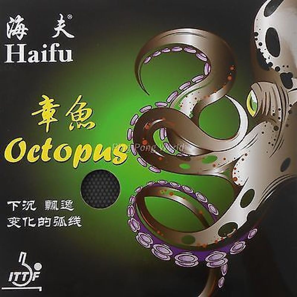 Haifu Octopus