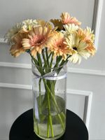 Гербера в кремовом оттенке от 1 шт