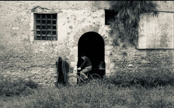 «Русская тоска»: как эмигрантская ностальгия создала эстетический канон | Эстетика. Заметки на полях