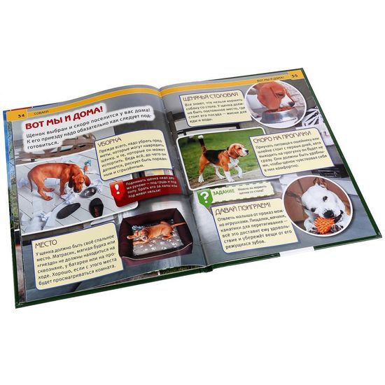 Энциклопедия А4 с развивающими заданиями. Собаки. Формат: 197х255 мм. 48 стр. Умка