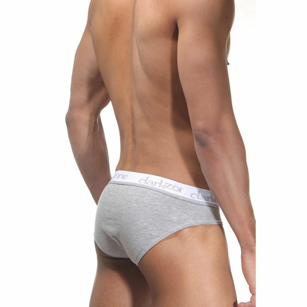 Трусы мужские слипы серые DARKZONE DZN6303