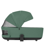 Коляска 2 в 1 Carrello Alfa CRL-6522