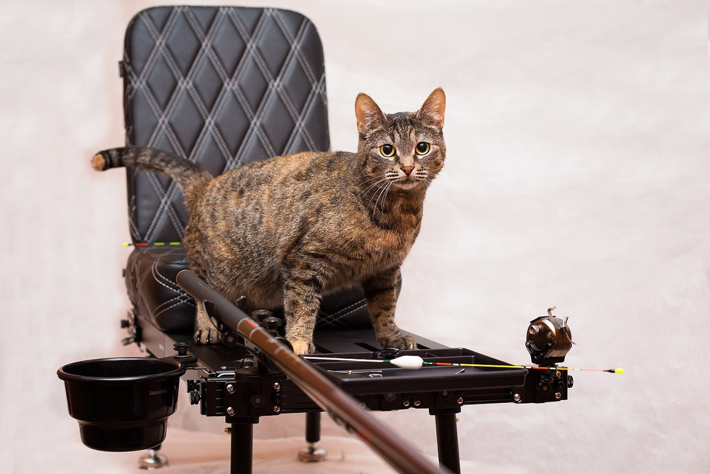 Универсальная чашка