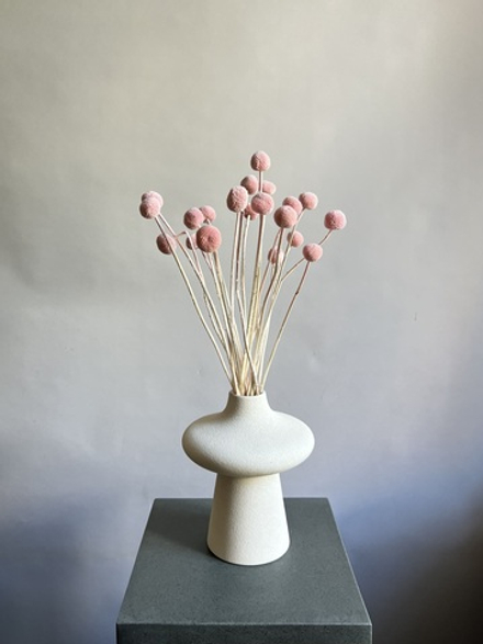 Краспедия стабилизированная розовая (упак 20 шт)