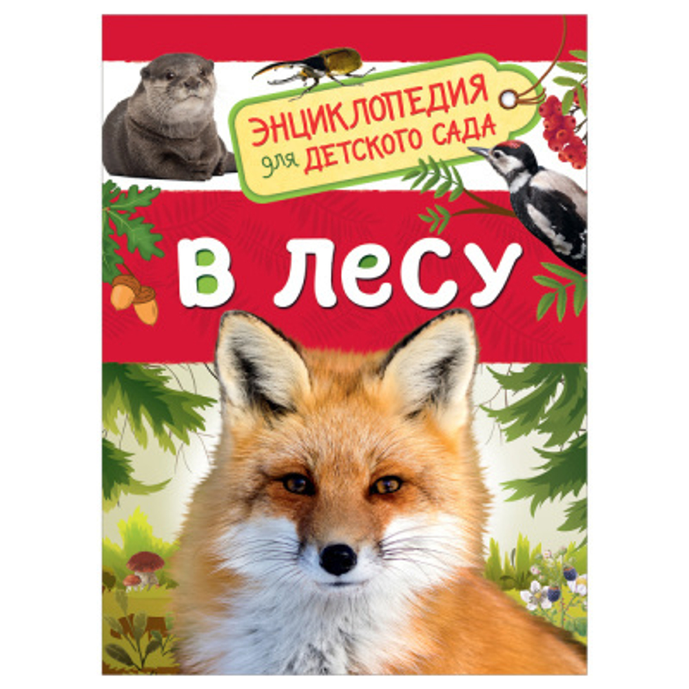 Клюшник Л. В.  В лесу (Энциклопедия для детского сада)  Энциклопедия для детского сада  Росмэн