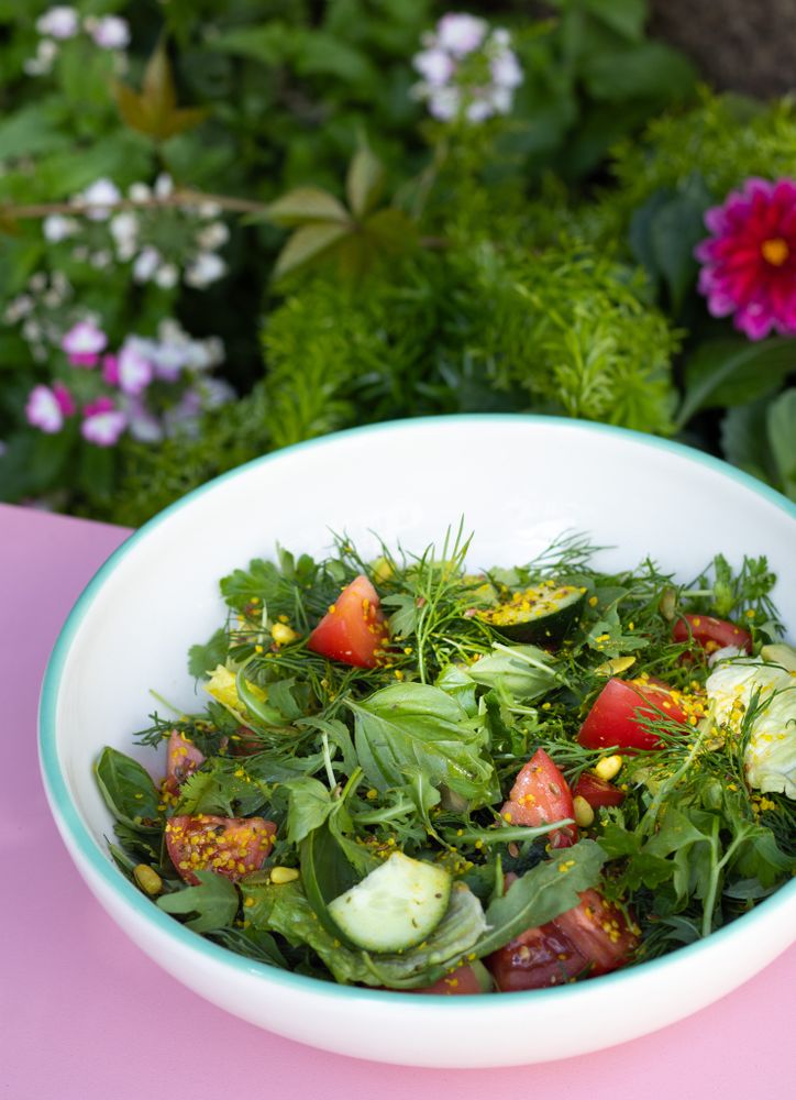 &quot;STEFAN SALAD&quot; new