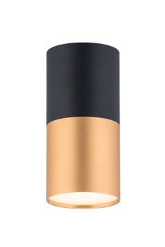 1225CN SBK+SGD (1/30) Светильник (RL)