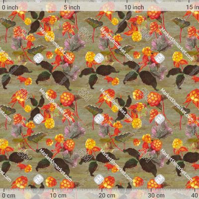 Ягоды севера . Морошка .Магазин art_sun_ray by art_sun_ray 435 DPI