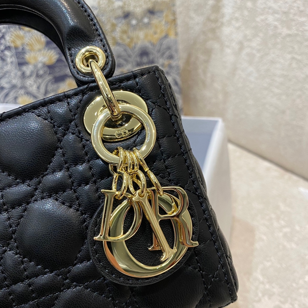 Christian Dior Lady Dior Micro